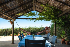 Casa Mangueta, El Palmar